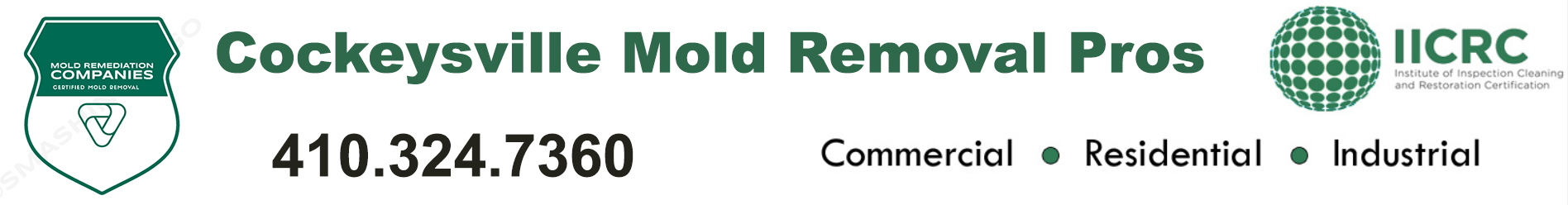 Cockeysville Mold Removal Pros
