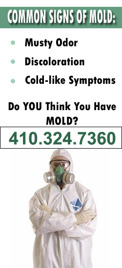 Cockeysville Mold Remediation Contractor